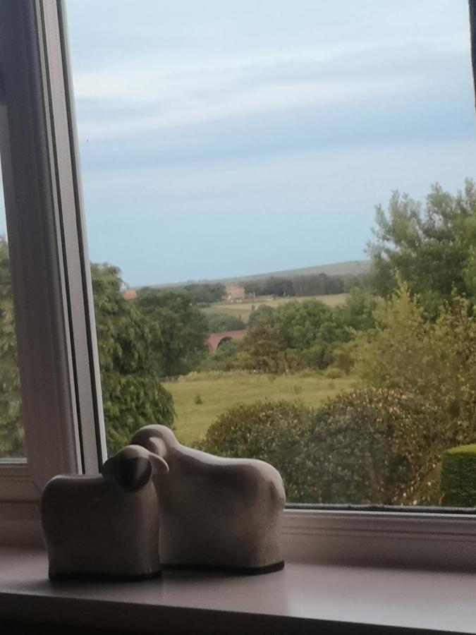 Greystones Guesthouse Уитби Экстерьер фото